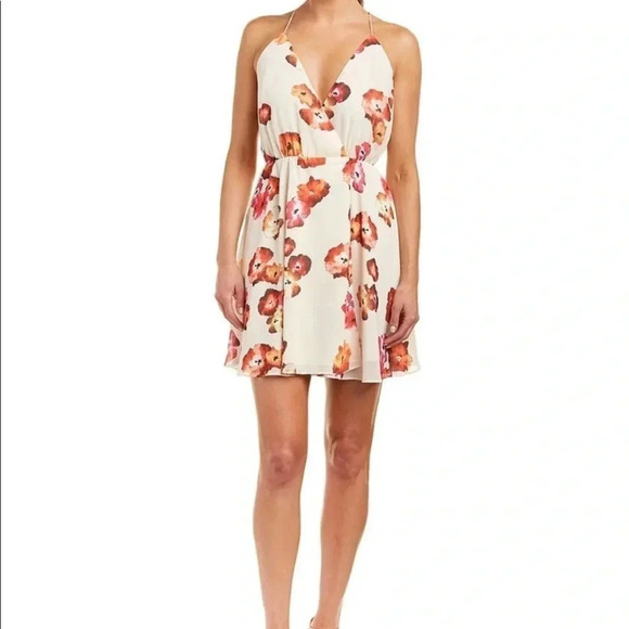 Haute Hippie Harmony Floral Dress Size Small - Picture 1 of 6